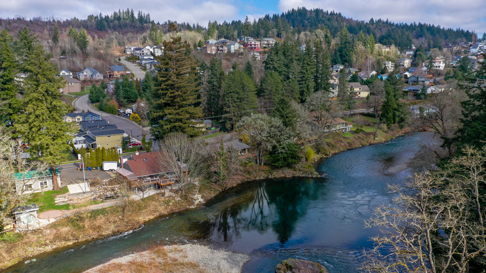 stag_winter-wallpaper-1600x900